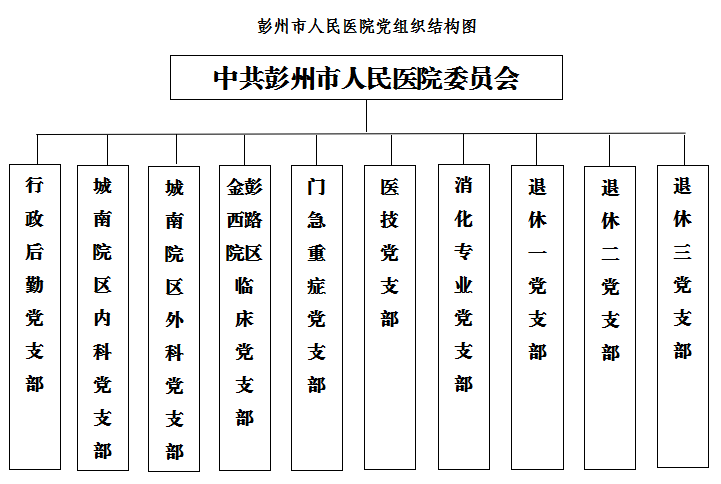 彭州市人民医院党组织结构图